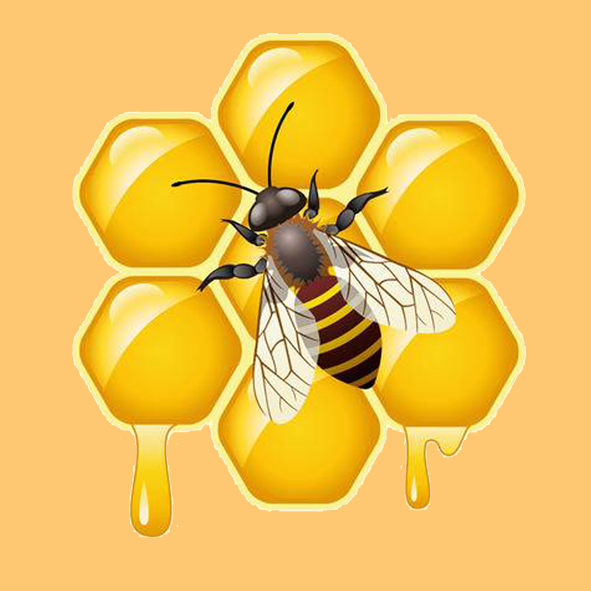 bee_hive