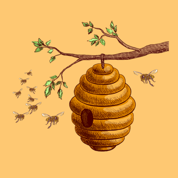 bee_hive