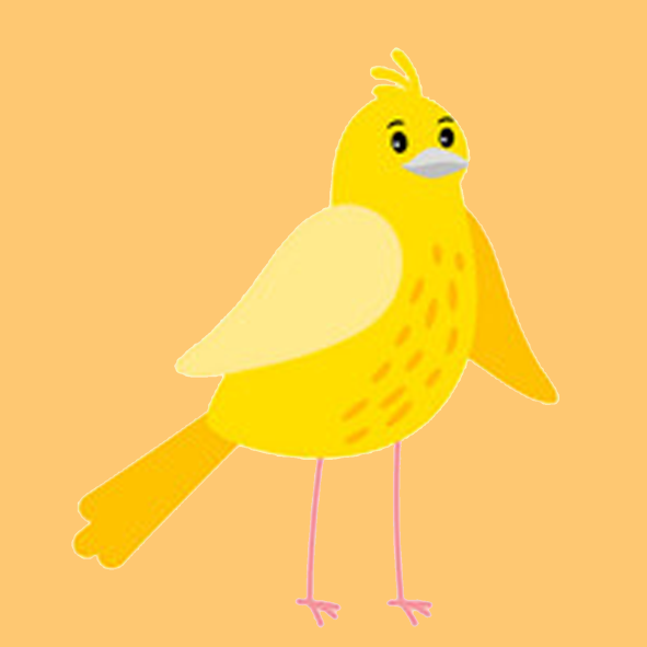 canary